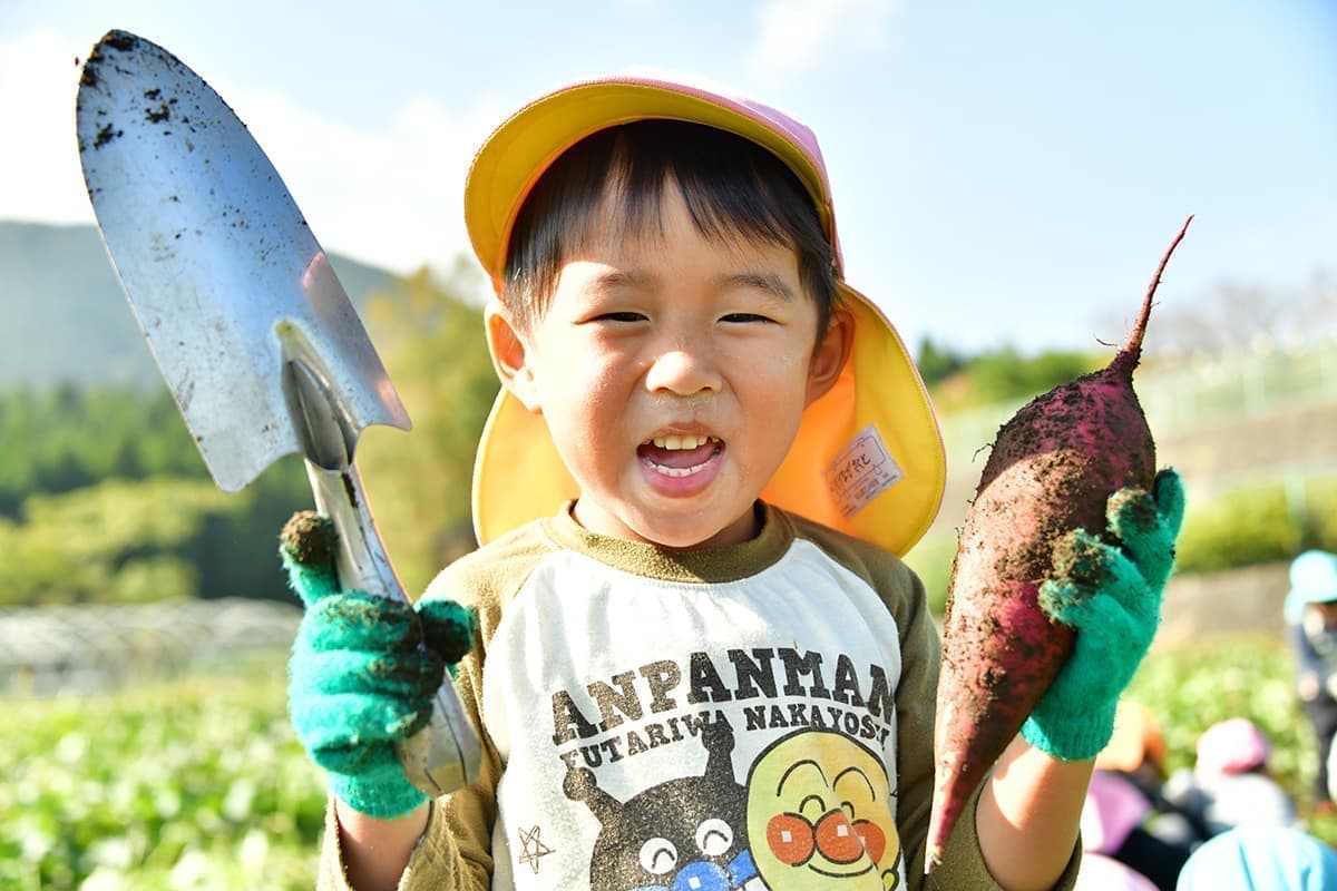 スコップと芋と男の子