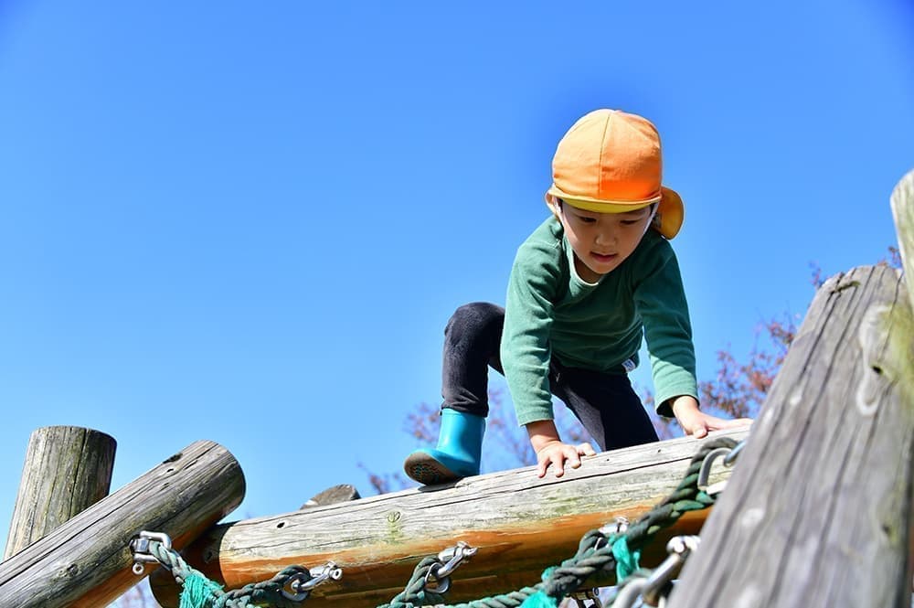 木に登る男の子