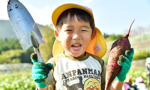 スコップと芋と男の子